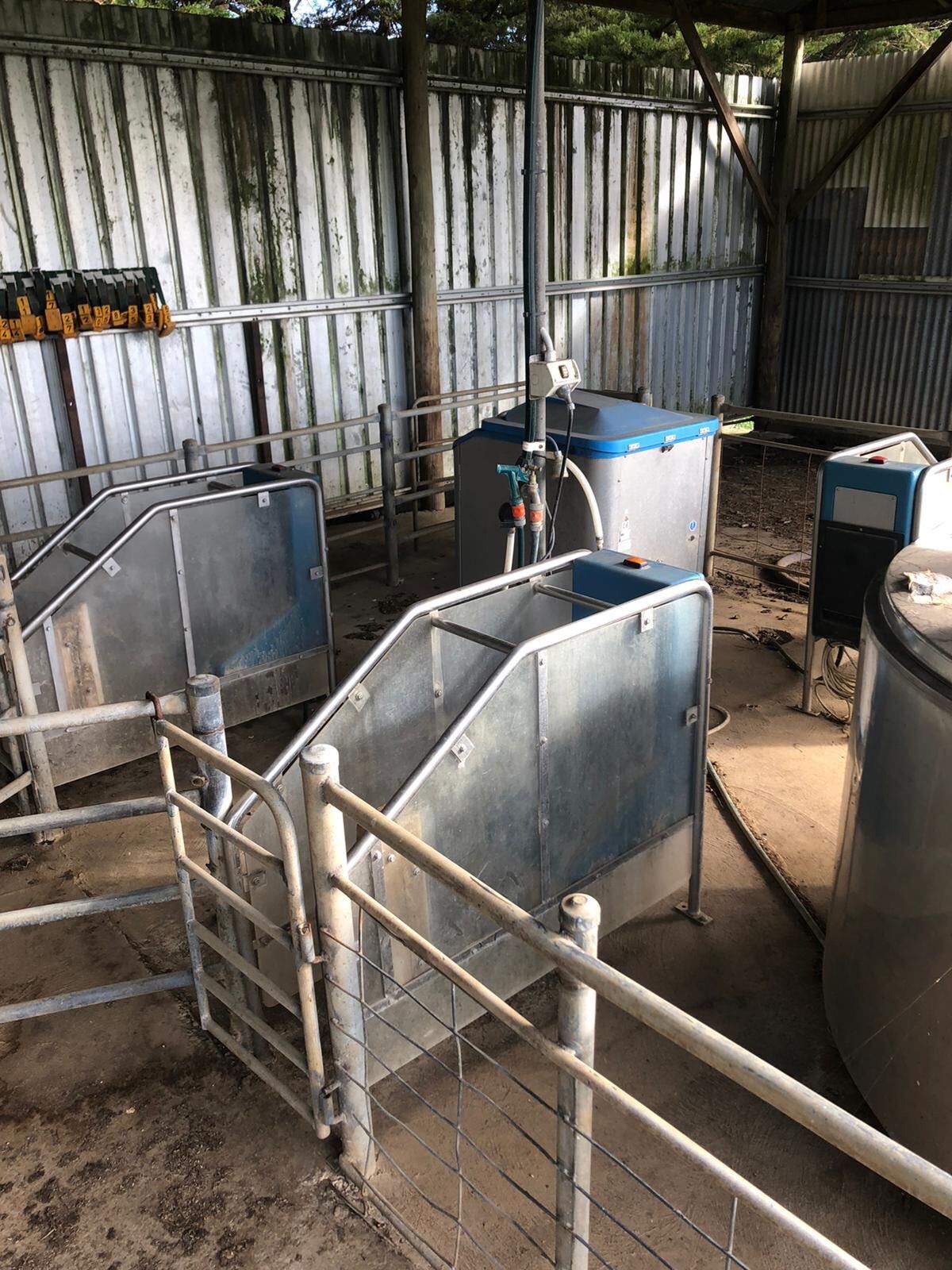 Automatic Calf Feeder Holm & Laue QUICK SALE! Machinery